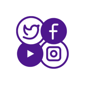 Iconveil Social Media Management