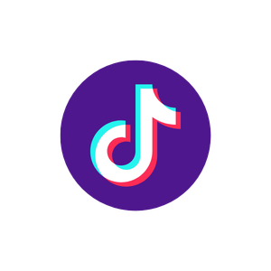 Iconveil Tiktok Ads